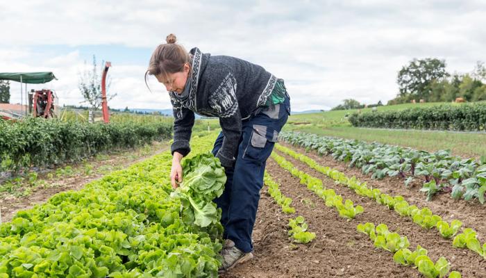 Agricoltura