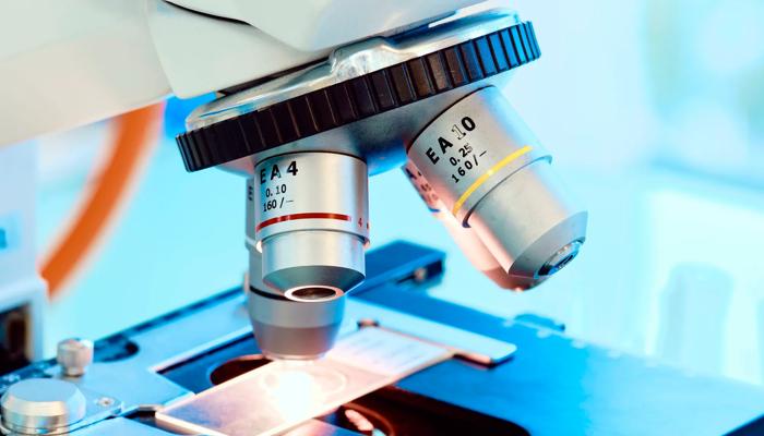 Biomedizinische Wissenschaften