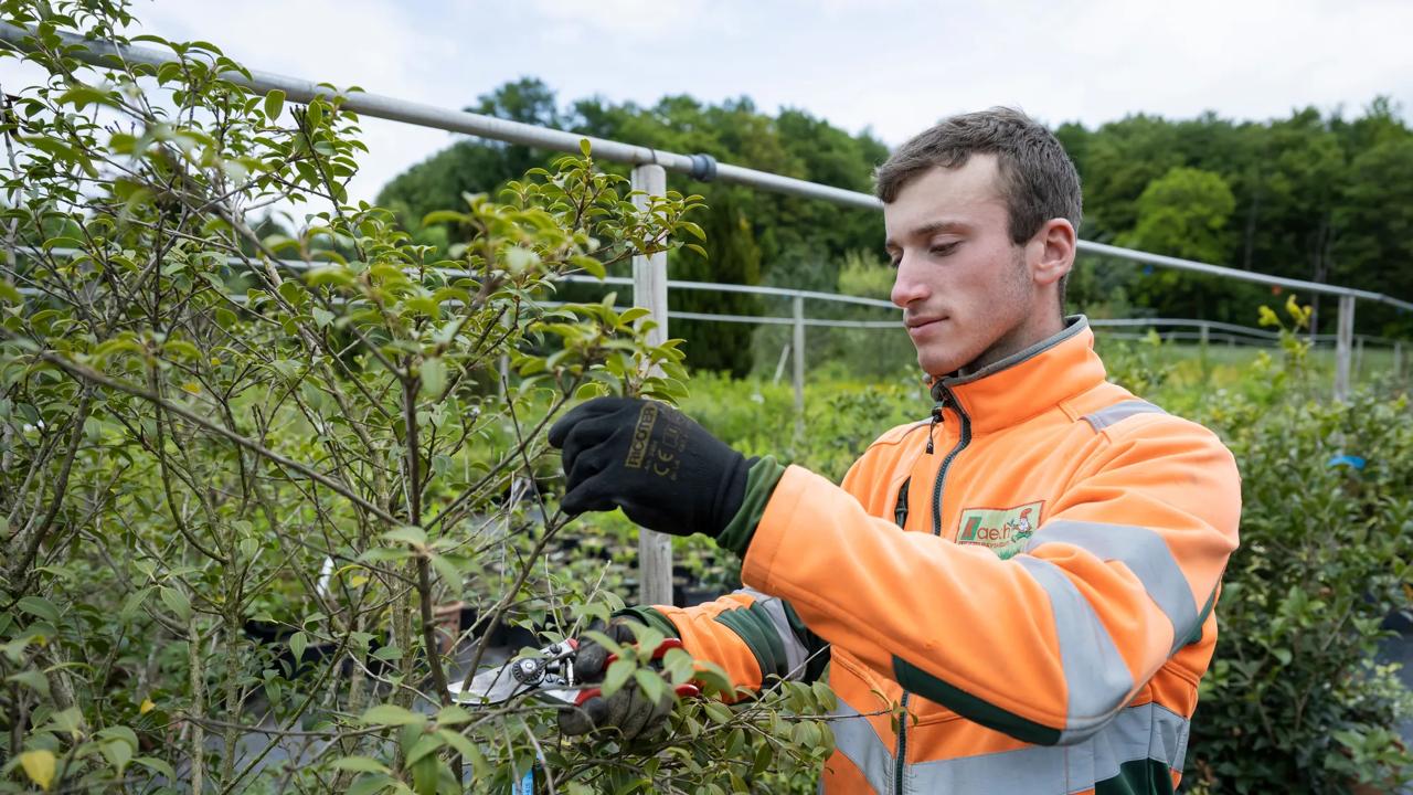 horticulteur_YC_075.jpg